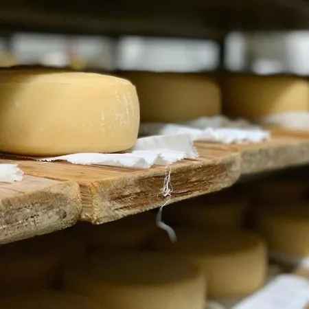 Lugar Nas Estrelas Starlight بيت للعطل *