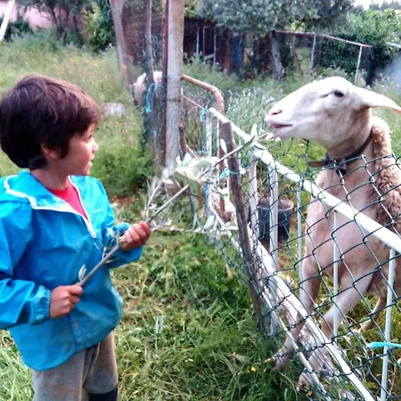 Lugar Nas Estrelas Starlight *