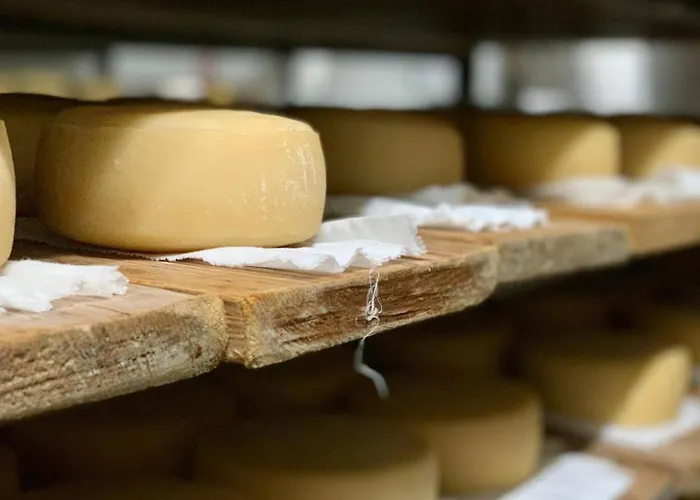 Lugar Nas Estrelas Starlight Prázdninový dům *