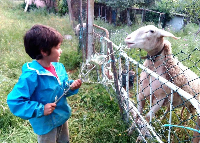 Lugar Nas Estrelas Starlight *